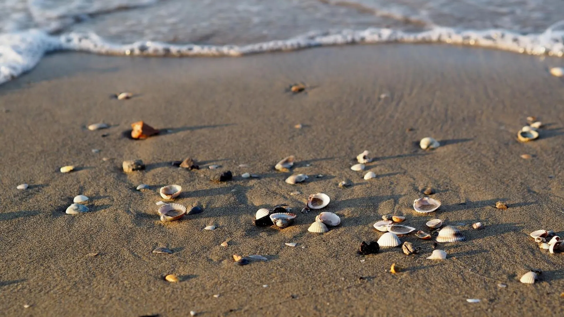 Apartmán Relax Just 150M From The Beach - Beahost Bibione